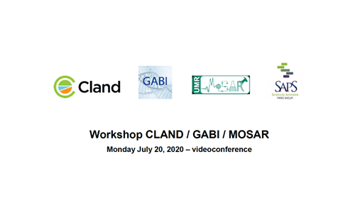 Workshop CLAND et SAPS